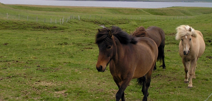 Photo by Visit Iceland